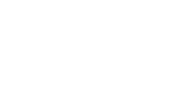 Xales Technology Logo